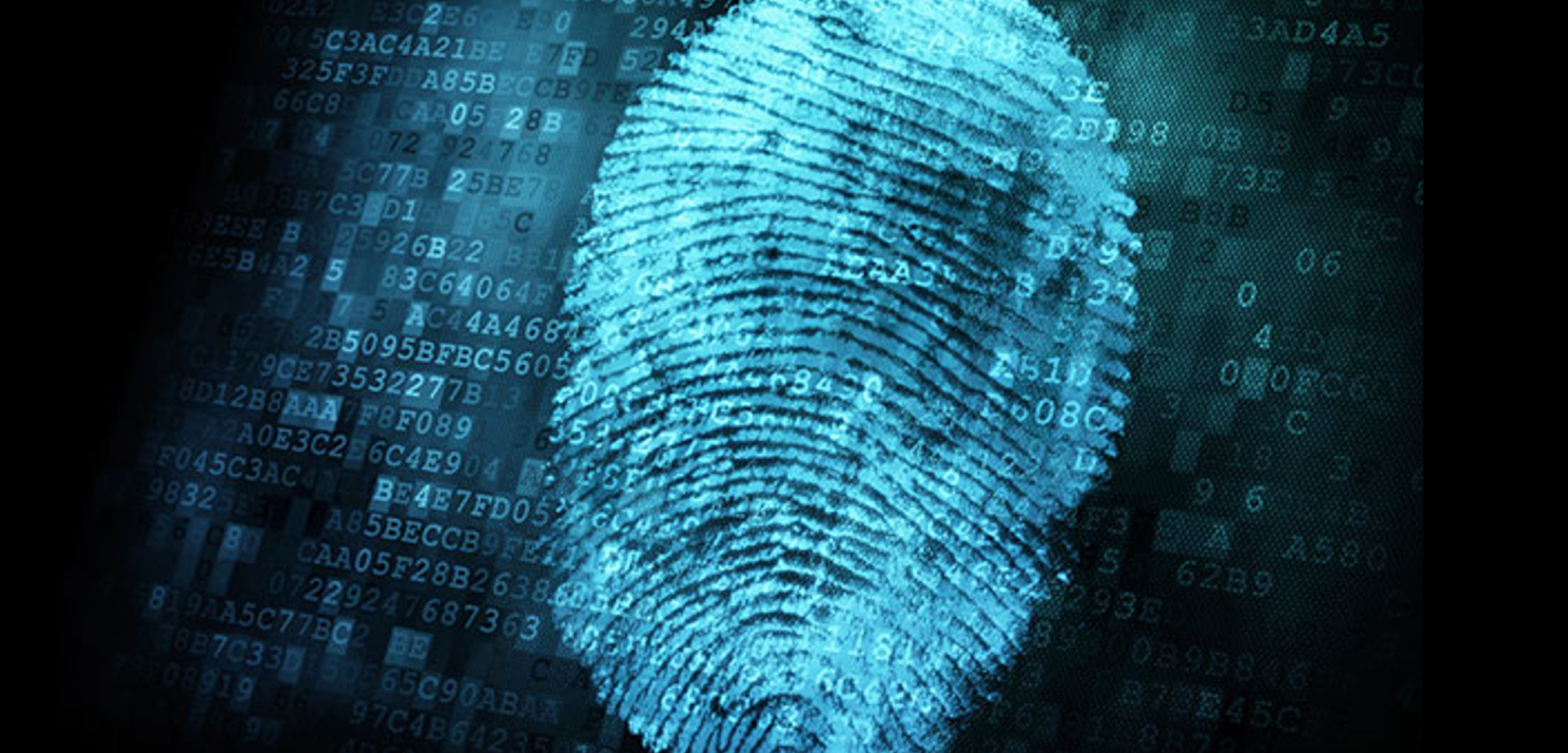 Digital Forensics & Vulnerability Research